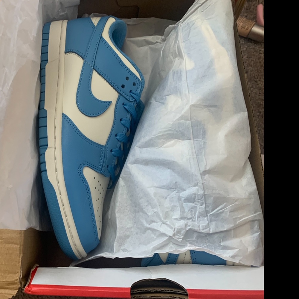 Nike Dunks Low 'Coast' 2021